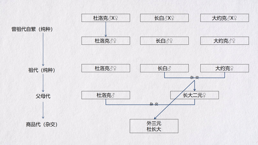 此图像的alt属性为空；文件名为2021010800584738.png