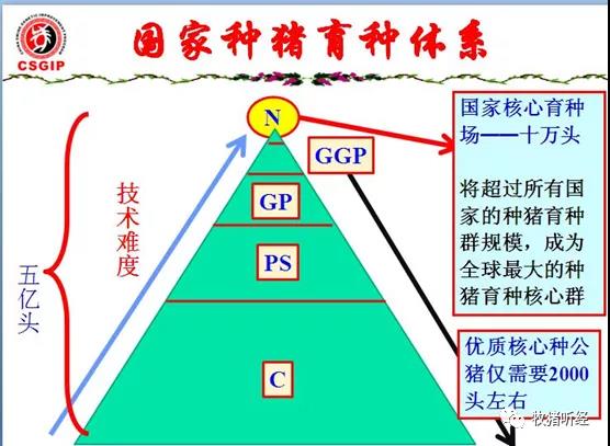 此图像的alt属性为空；文件名为2021010810242298.jpg