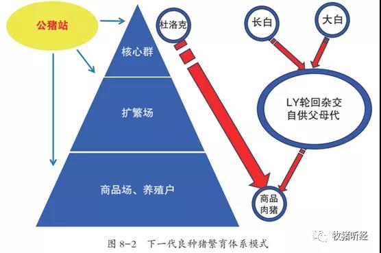 此图像的alt属性为空；文件名为2021010810250531.jpg