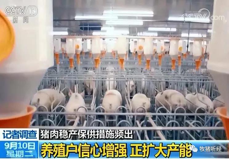 此图像的alt属性为空;文件名为2021011206284031.jpg
